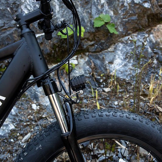Fat Tire Electric Mountain Bike 1000W