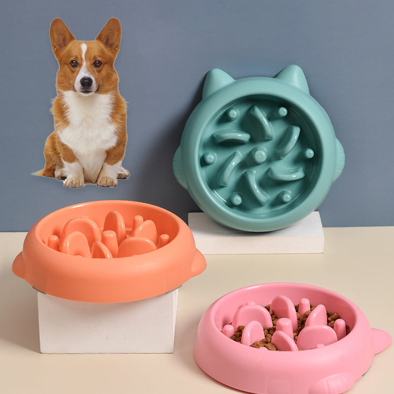 Anti-gulp slow feeder dog cat bowl