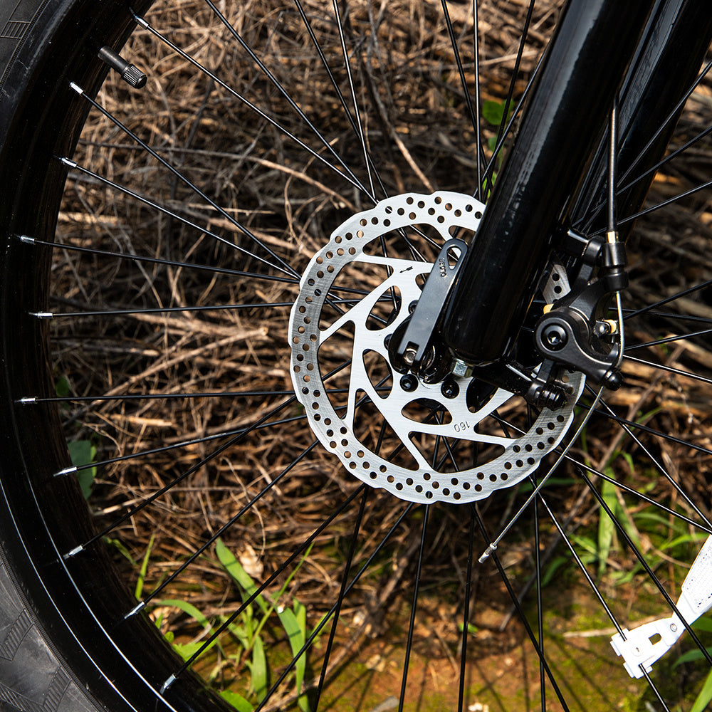 Fat Tire Electric Mountain Bike 1000W