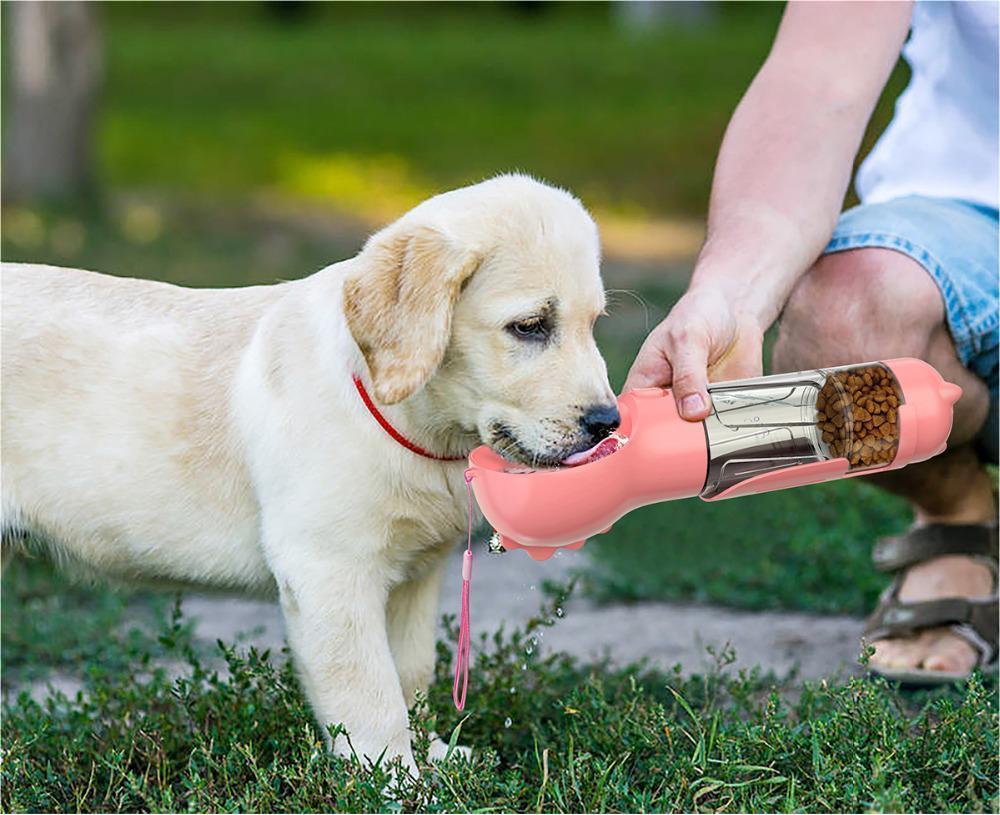 3-in-1 portable dog water bottle with bowl
