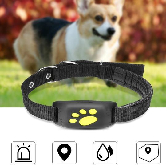 GPS pet tracker collar for dogs and cats